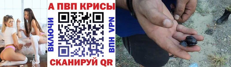 APVP СК  Куртамыш 