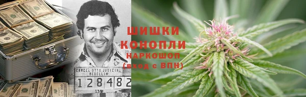 дмт Алзамай