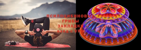 дживик Алексеевка