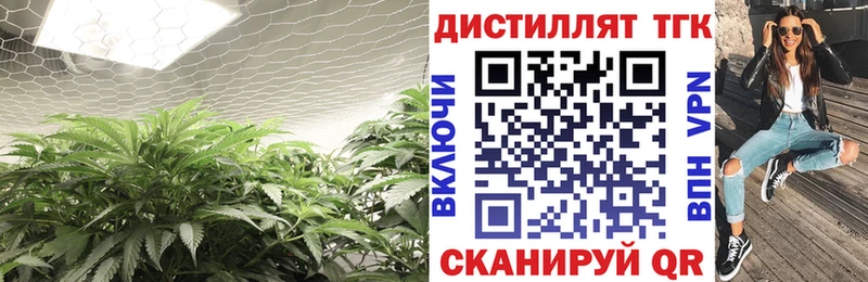 ТГК вейп Куртамыш