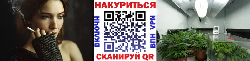 Шишки марихуана тримм  цена   Куртамыш 